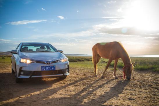 ȫ¿1.2TʼԽԽй
