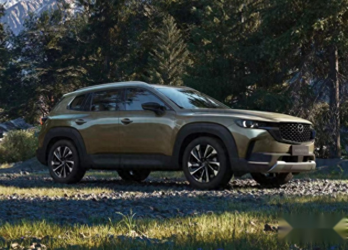ܺʱ16.98CX-50Ҳа棬˭˯ž