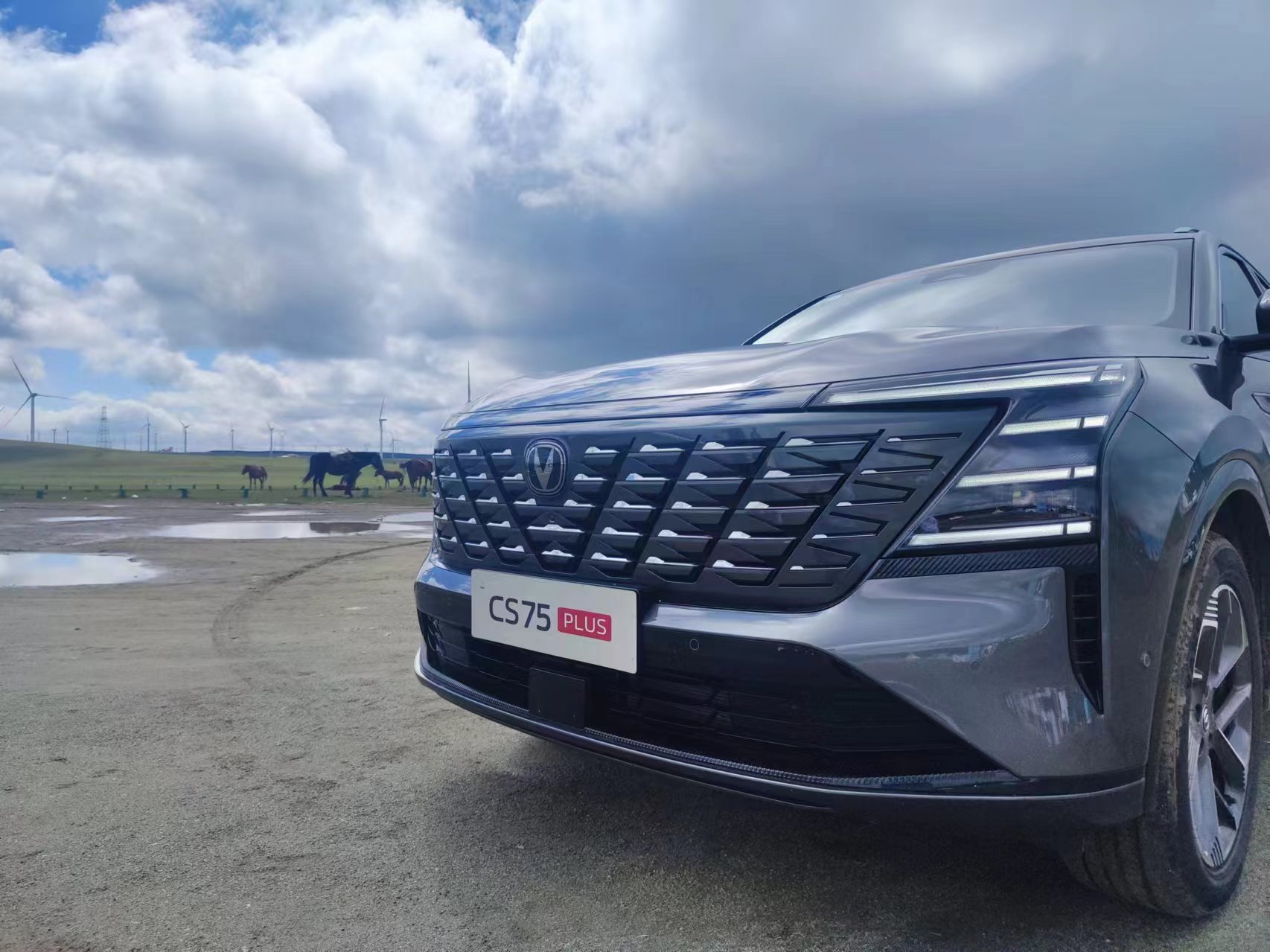 ȼͳΪĵ£Ứ10̨SUV